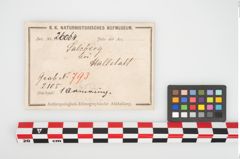 Etikett zu Bronzemelonenarmreif (NHMW-PRAE-026064)
